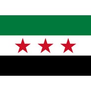 Syria (UN) Nylon Falgs